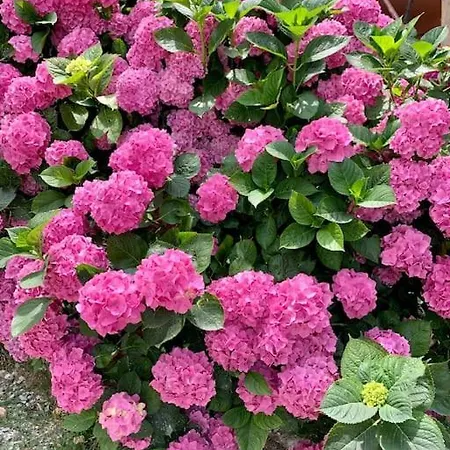 Casa Toni Mit Wallbox & Photovoltaik Tagliolo Monferrato